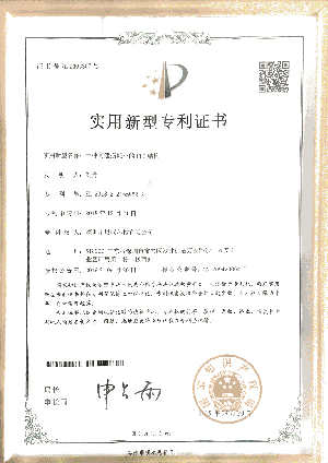 專利6